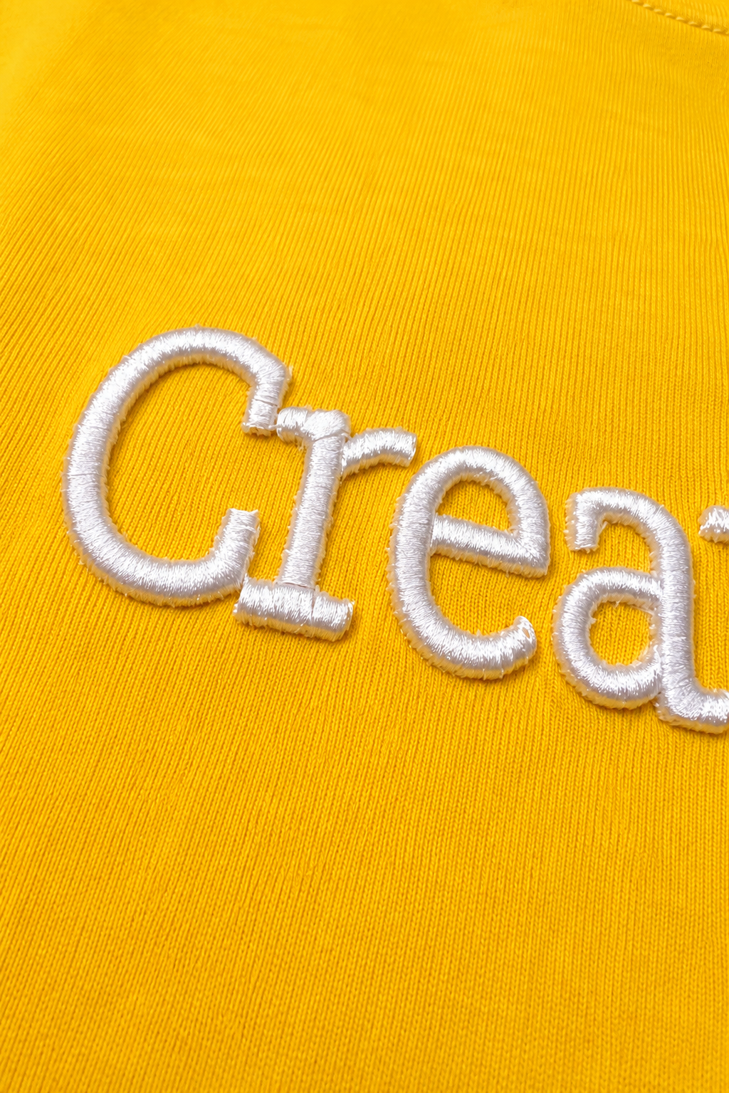 Threadiva Creator Embroidered Cropped Top